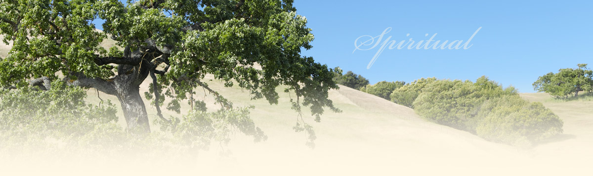 rolling hills and oak trees