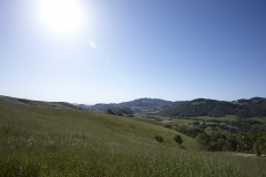 Five-Sisters-Ranch_Valley